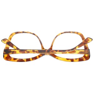 Plastic Reading Glasses